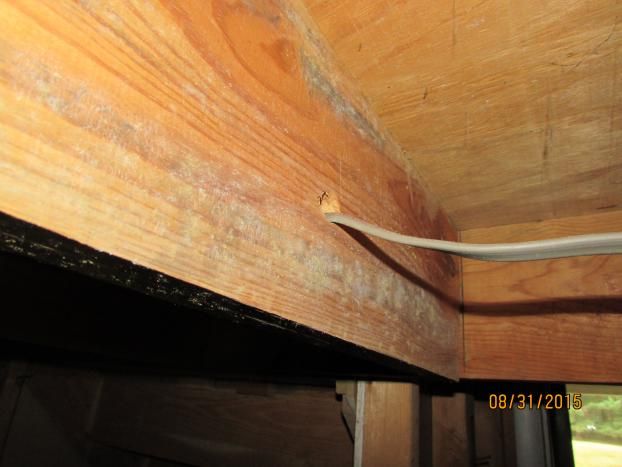 A recent mold indoor air quality job in the Waldorf, MD area