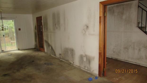 A recent home mold inspector job in the  area