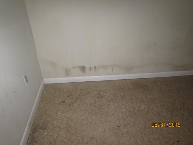 A recent mold inspection job in the Waldorf, MD area