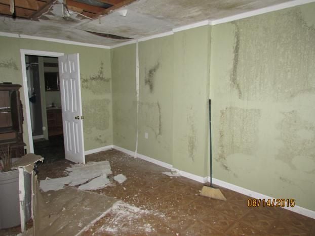 A recent home mold removal job in the Waldorf, MD area