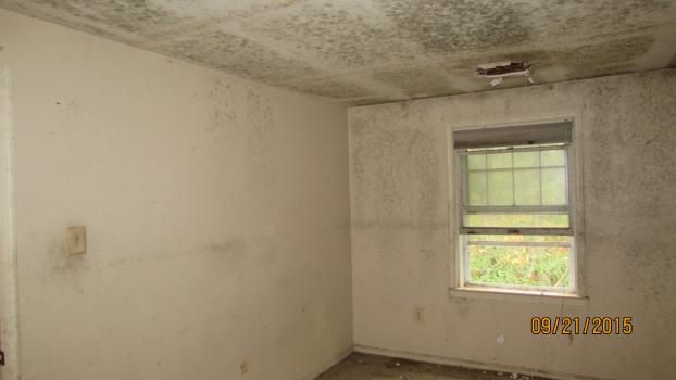 A recent certified mold inspections job in the  area
