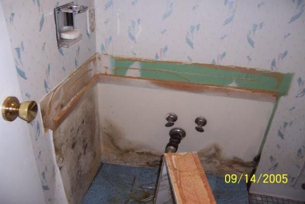 A recent mold remediation job in the  area