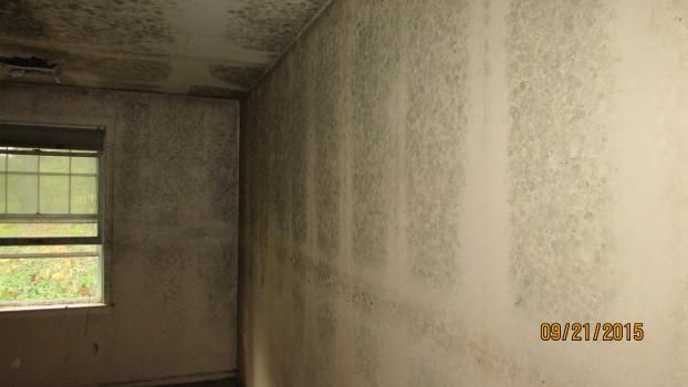 A recent home mold inspector job in the  area