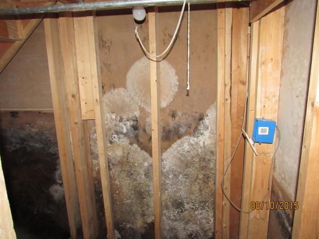A recent home mold remediation contractor job in the Waldorf, MD area