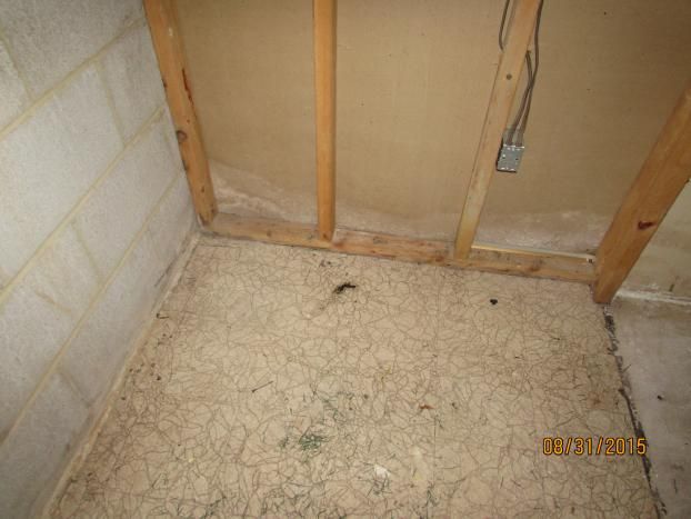 A recent home mold inspector job in the Waldorf, MD area