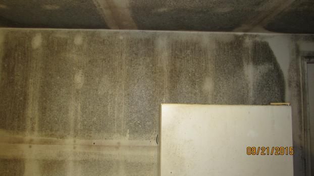 A recent home mold testing job in the  area