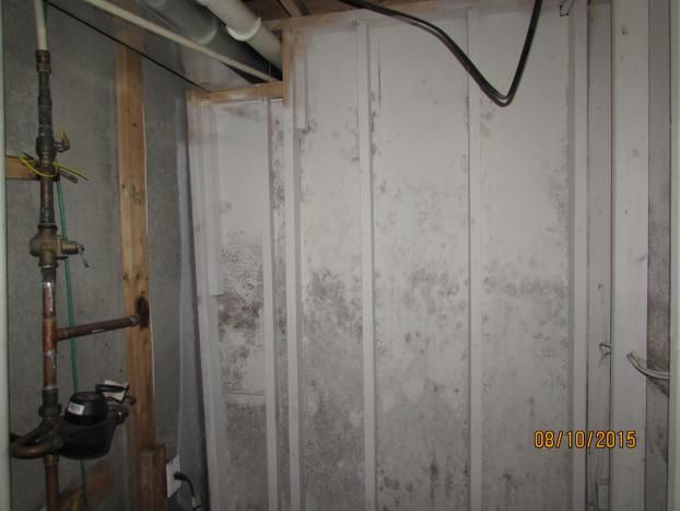 A recent home mold removal service job in the Waldorf, MD area