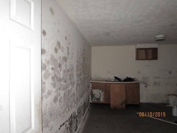 A recent home mold remediation job in the Waldorf, MD area