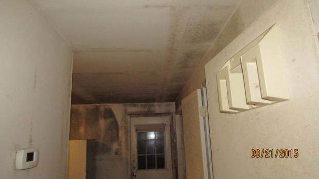 A recent mold inspector job in the  area