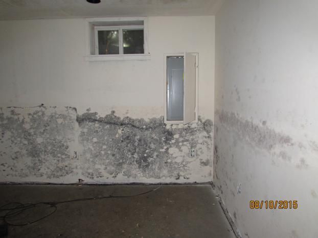 A recent home mold removal company job in the Waldorf, MD area